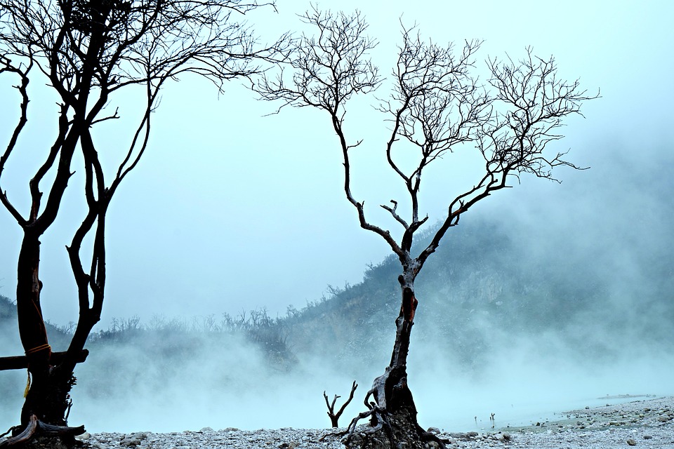 Kawah Putih: Myths, Marvels, and Science of the White Crater fog